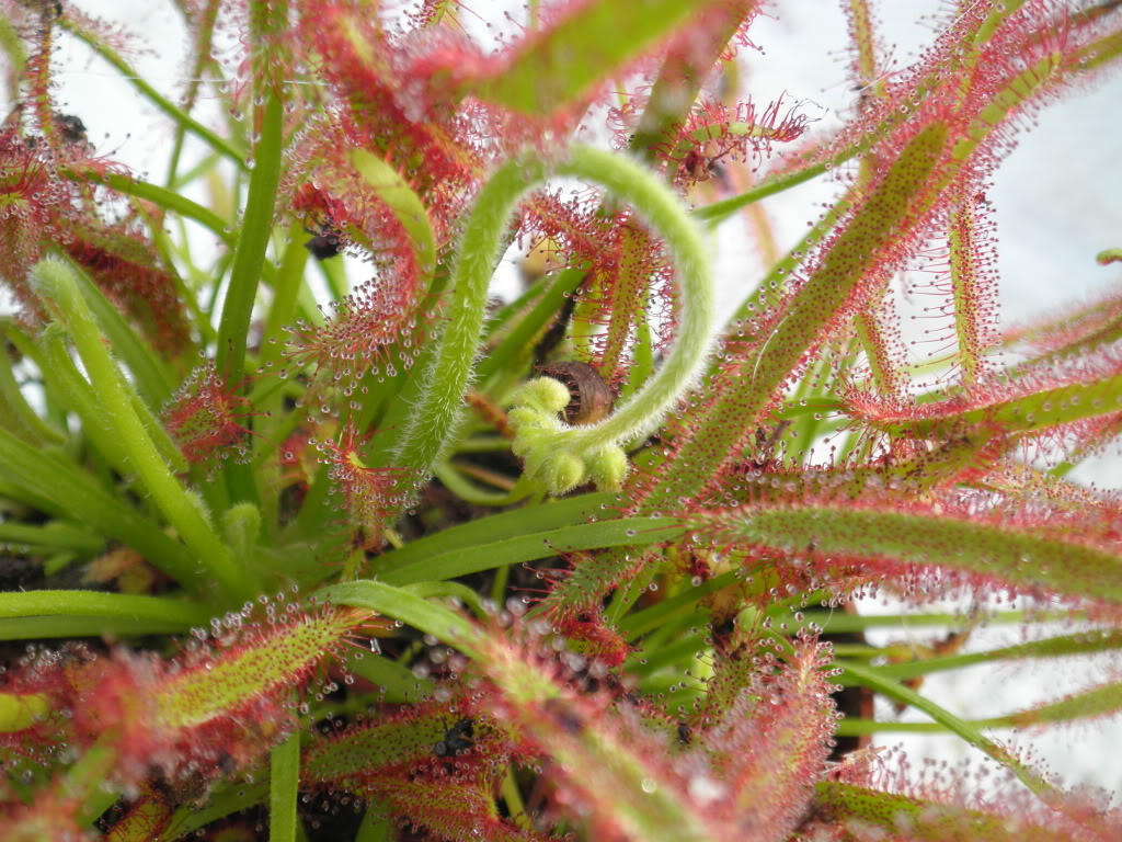 P7140461-1.jpg