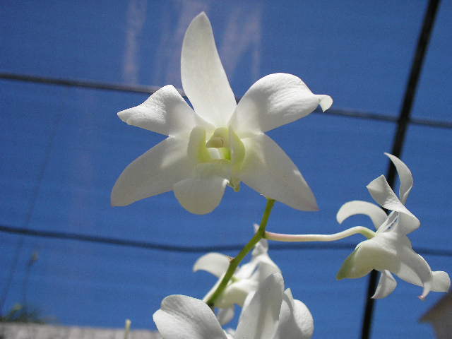 P7150003.JPG