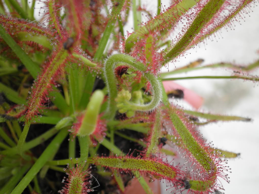 P7150489.jpg