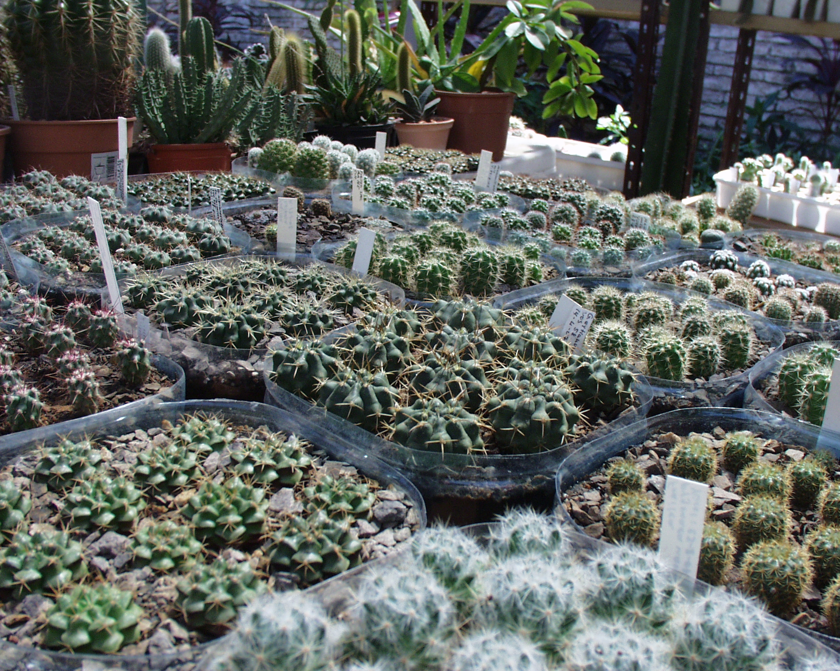 p7150849.jpg