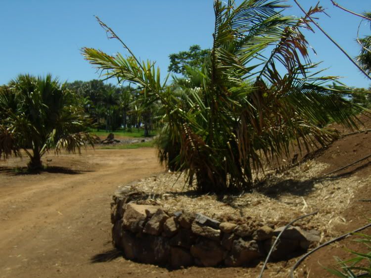 P7230006_redimensionar.jpg