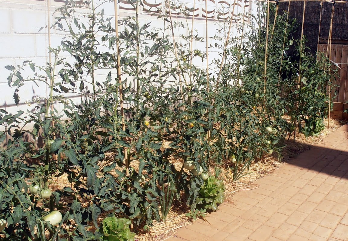 P7240028.JPG