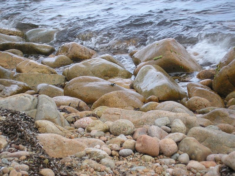 P72901061.JPG