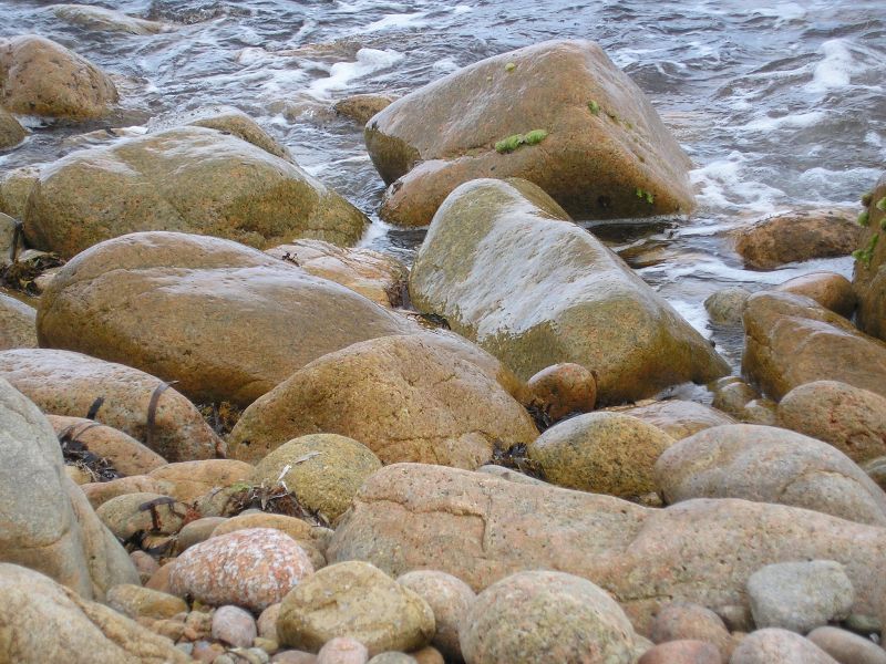 P7290107.JPG