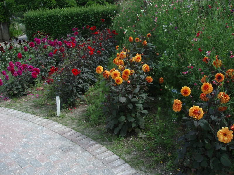 P7303535.jpg