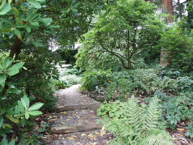 P7313630.jpg