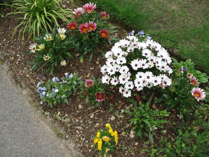 P7313636.jpg