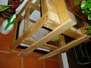 P8070014.jpg