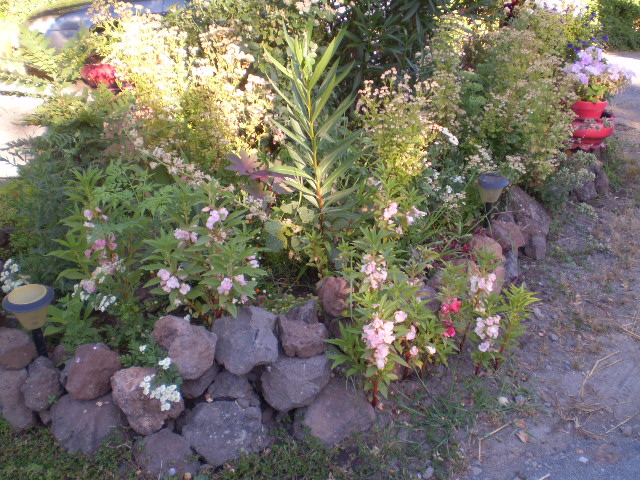 P8100366.JPG