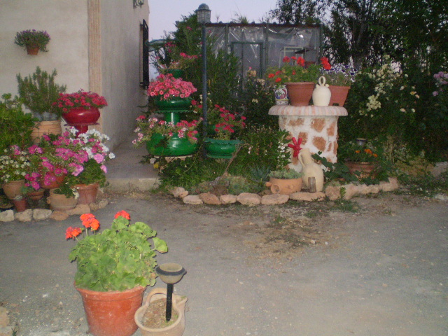 P8100372.JPG