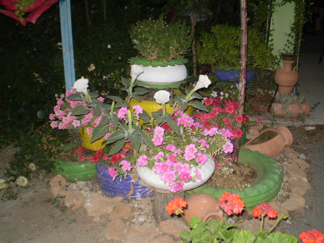 P8100373.JPG
