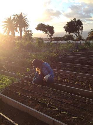 P82491501.jpg