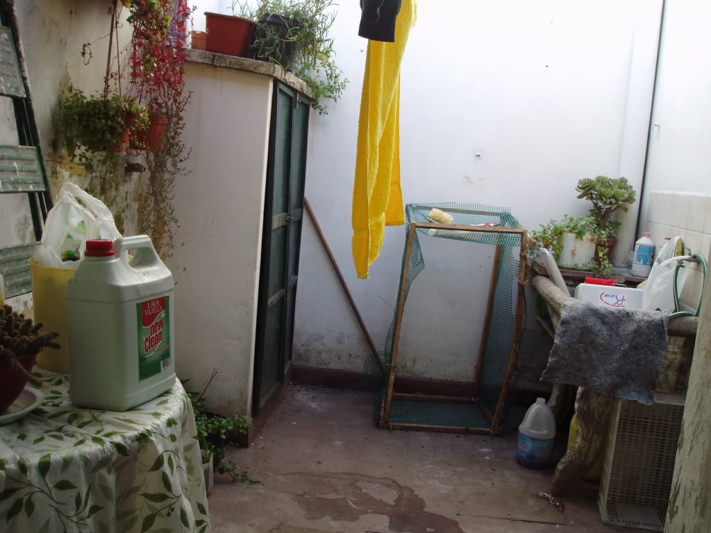 P8270001.jpg