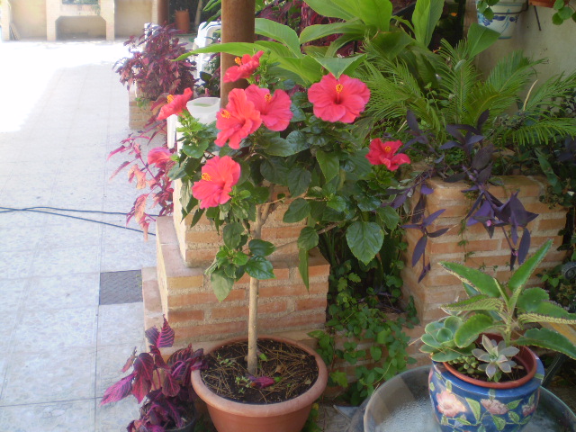 P8310416.JPG