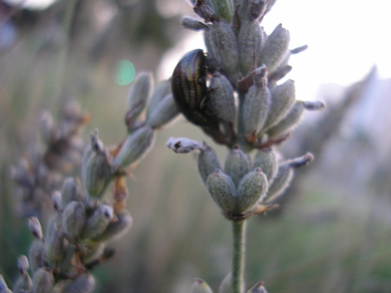 P9010091.JPG