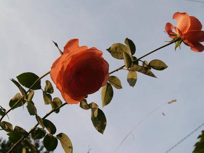 P9010457.JPG