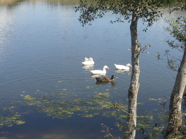 P9020057.JPG
