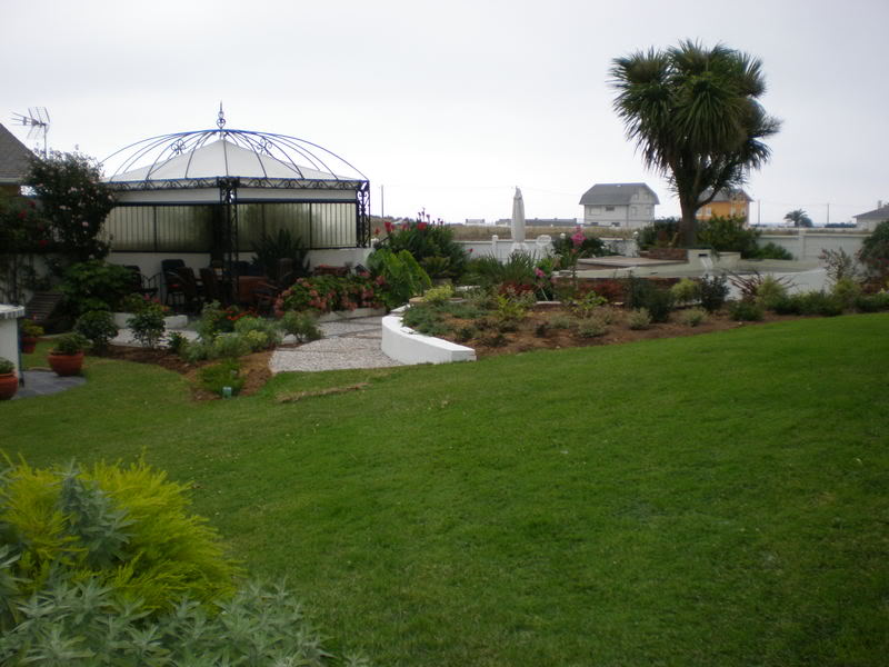 P9020654.jpg