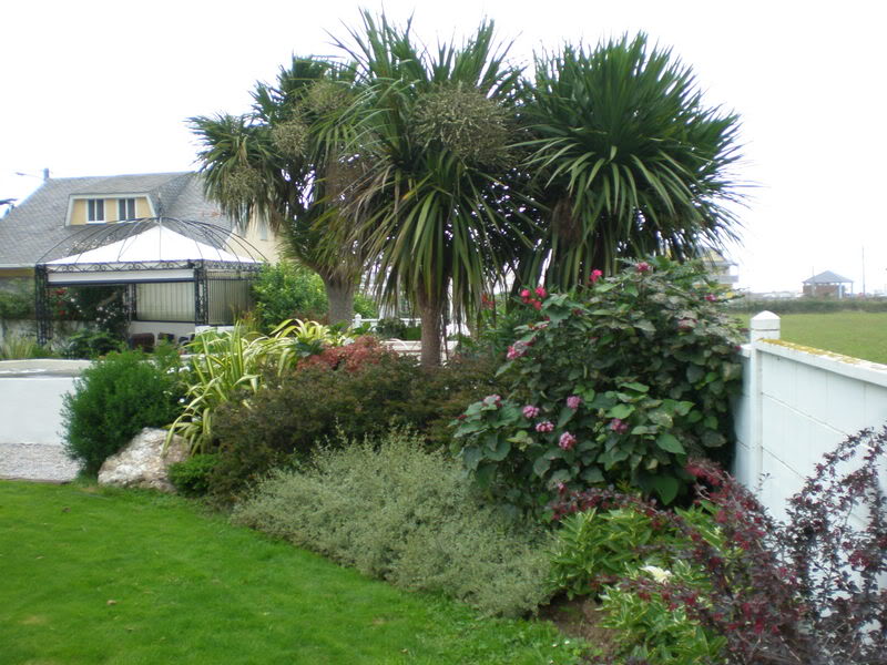 P9020677.jpg