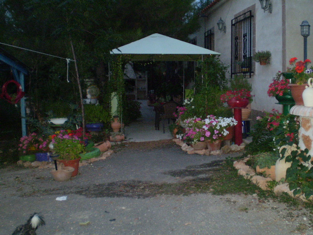 P9050424.JPG