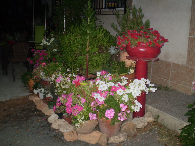 P9050426.JPG