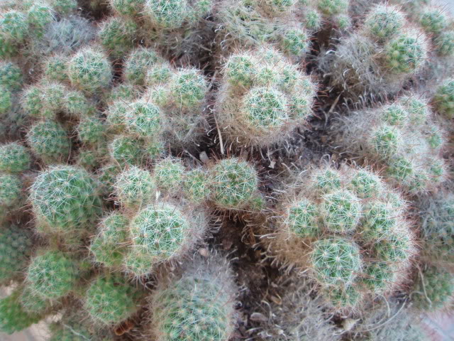P90900082.jpg