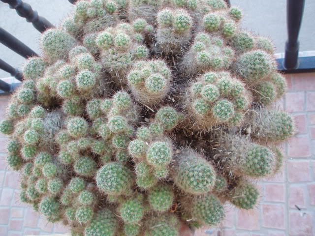 P90900102.jpg