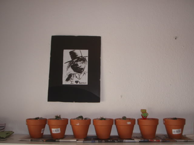 P9090011.jpg