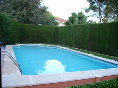 P913.jpg