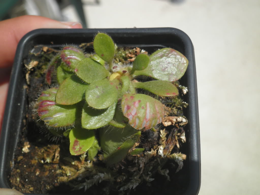 P9151101.jpg