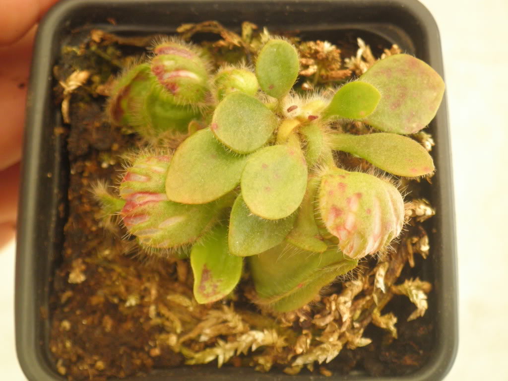 P9151102.jpg