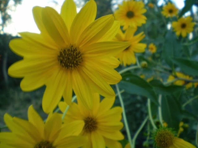 P9190446.JPG