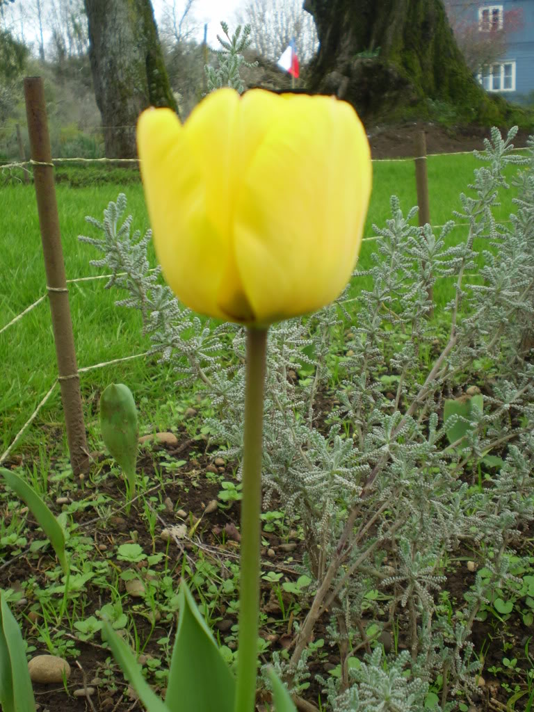 P9200093.jpg