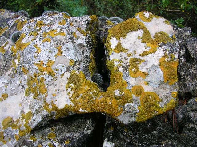 P9230155_.JPG