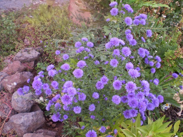 P9250460.JPG