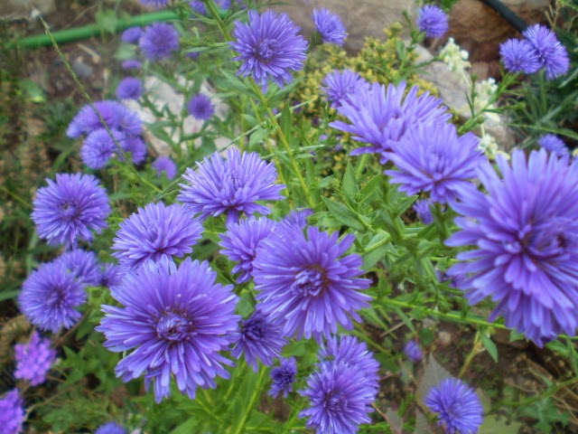 P9250462.JPG