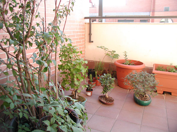 P9280011%20copy.jpg