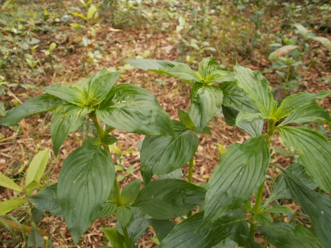 P9280183.JPG