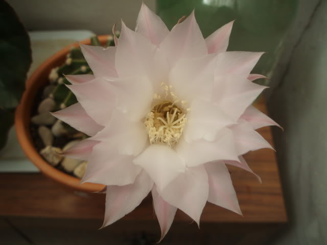 P9290010.jpg