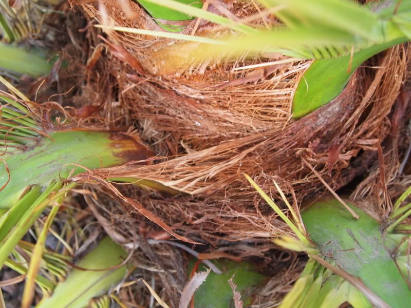 P9302972.jpg