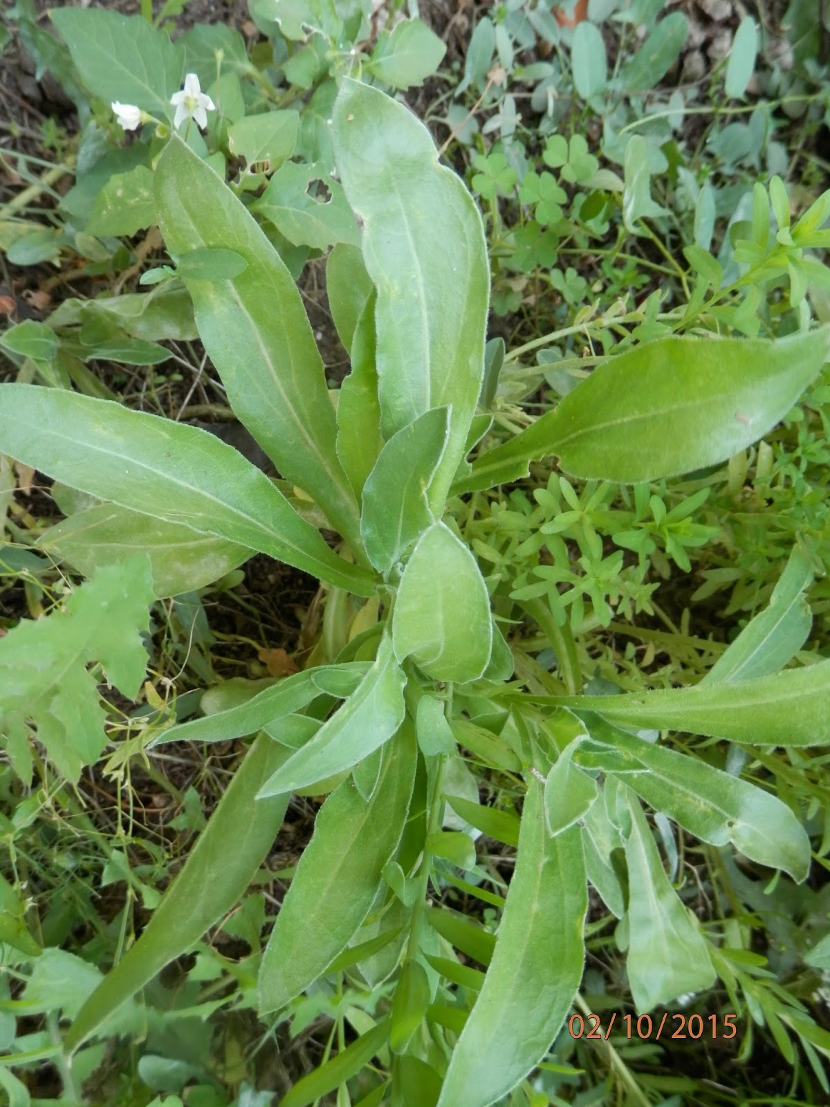 PA020264.JPG