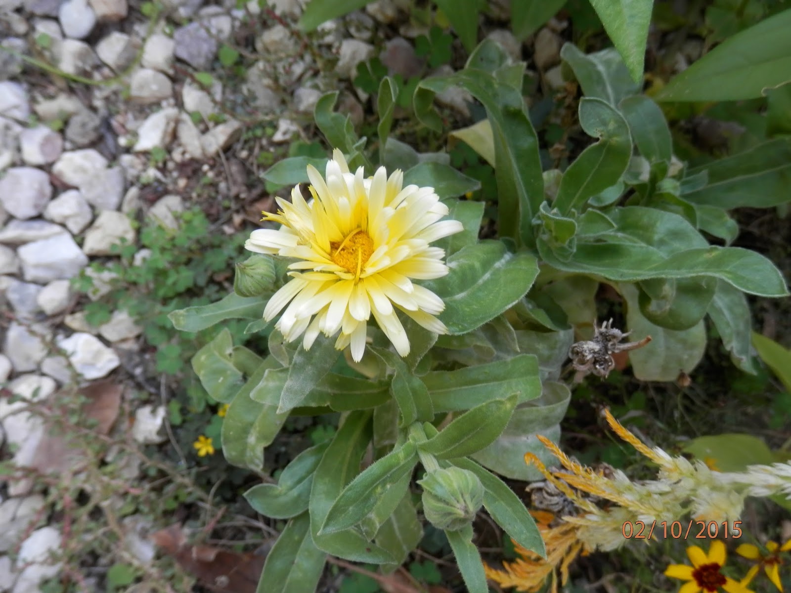 PA020272.JPG
