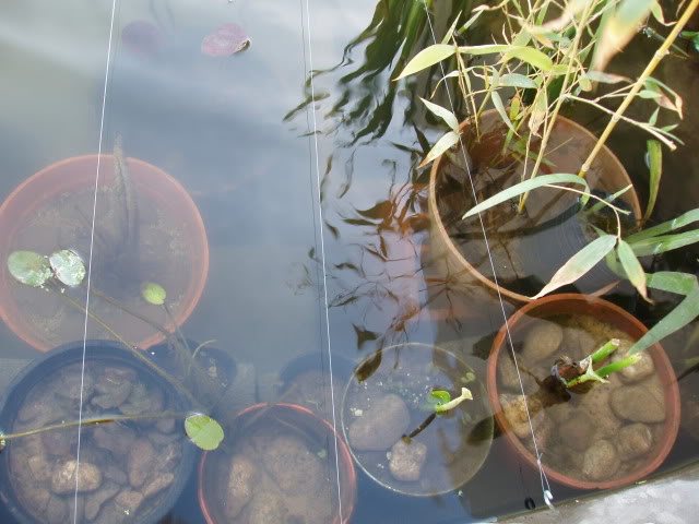 PA030003.jpg