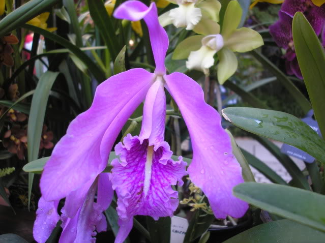 PA040050.jpg