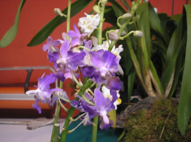 PA040143.jpg