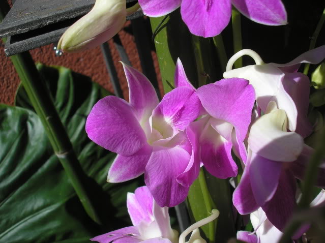 PA04015.jpg