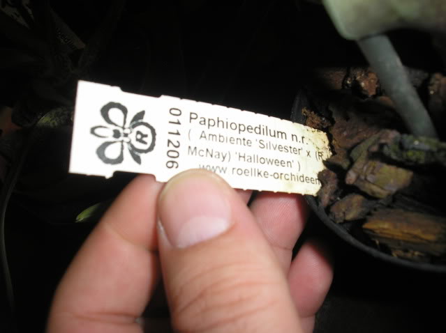 PA040172.jpg