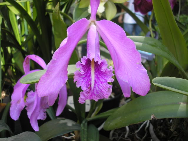 PA040178.jpg