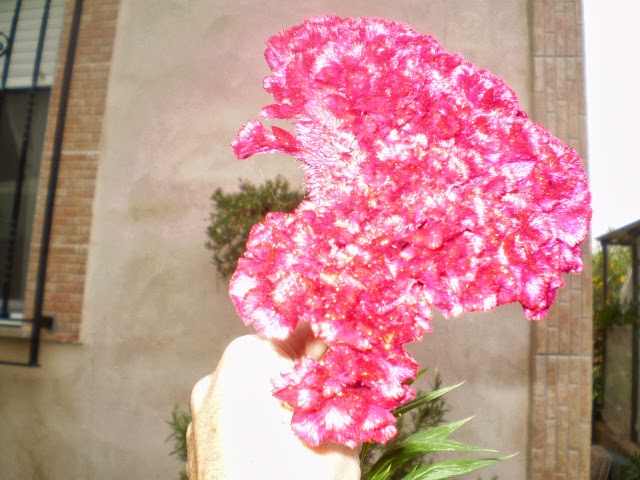 PA040469.JPG