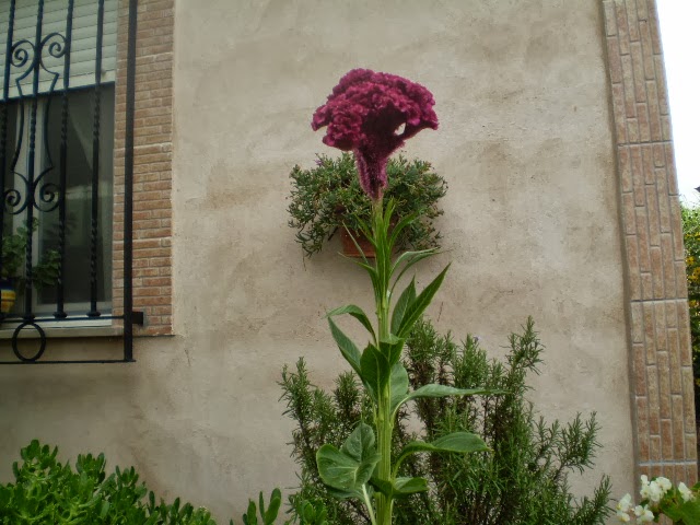 PA040470.JPG